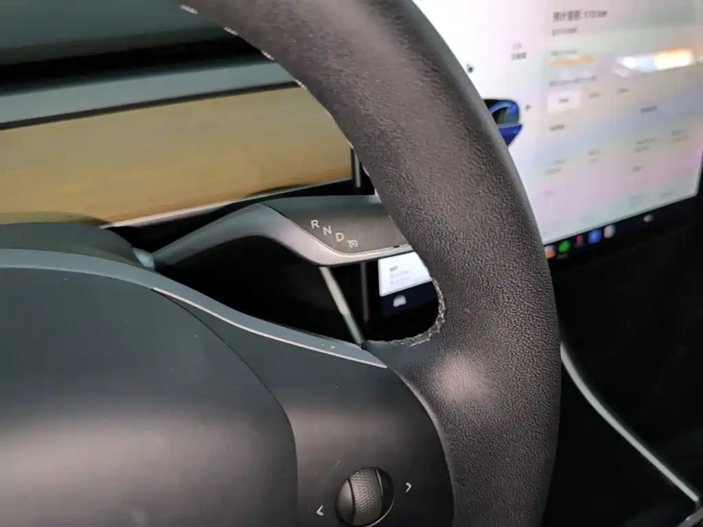 Tesla Model 3 — миниатюра 14