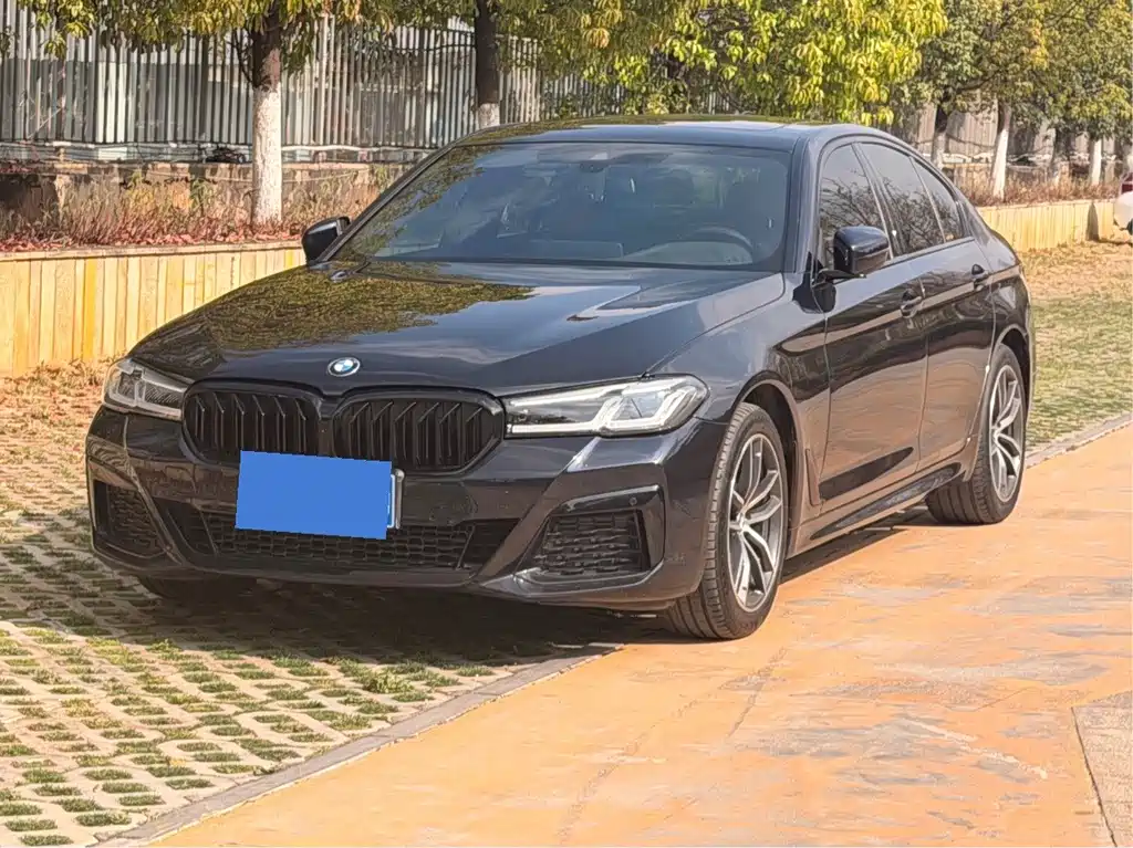 BMW 5 Series (Import) 2021