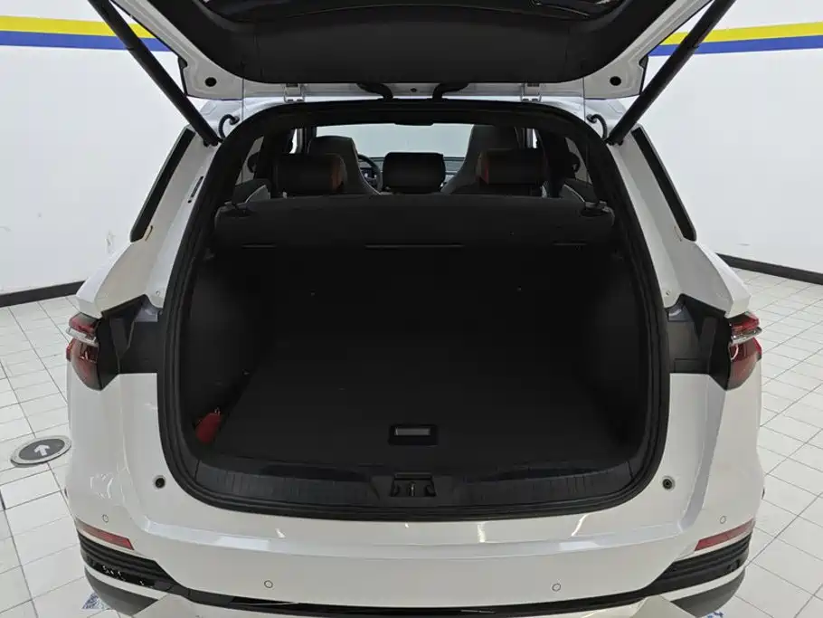 BYD Pro New Energy — миниатюра 4