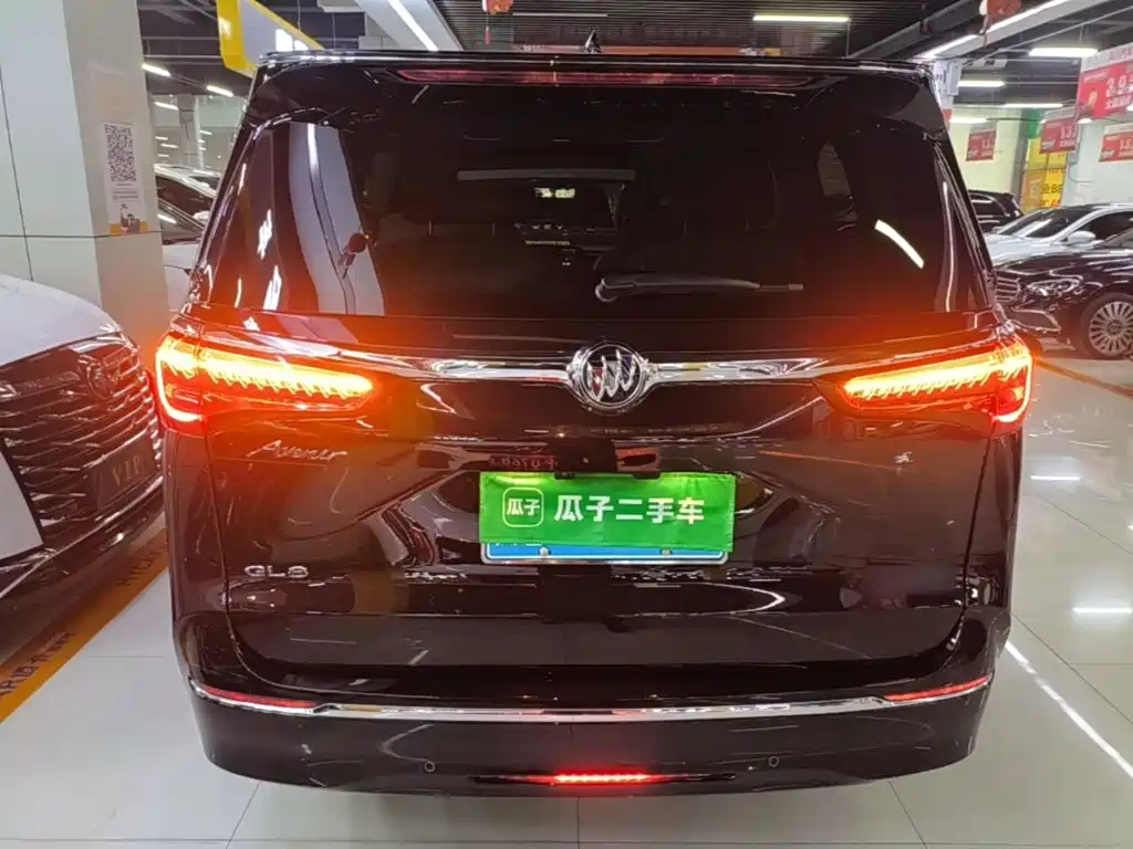 Buick GL8 — миниатюра 6