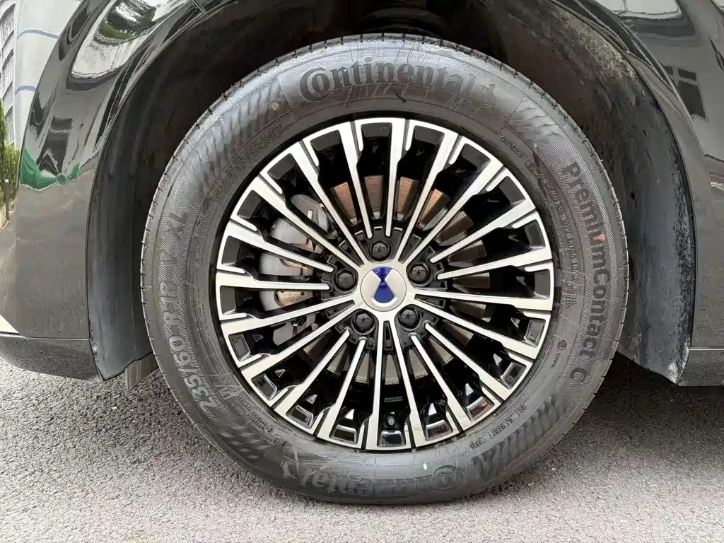 Denza Denza D9 — миниатюра 19