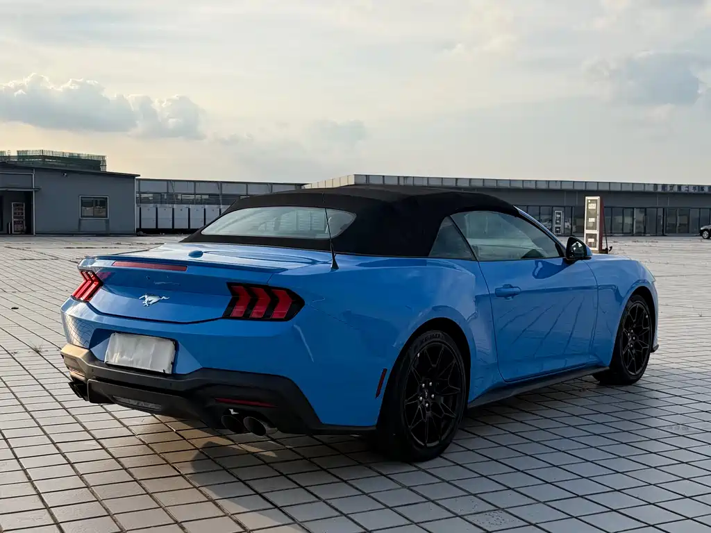 Ford Mustang — миниатюра 11