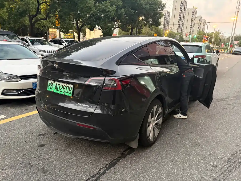 Tesla Model Y — миниатюра 6