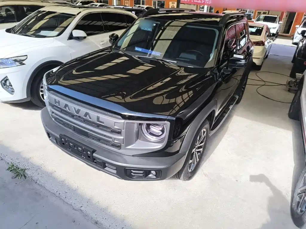 Haval 长城大狗 — миниатюра 2