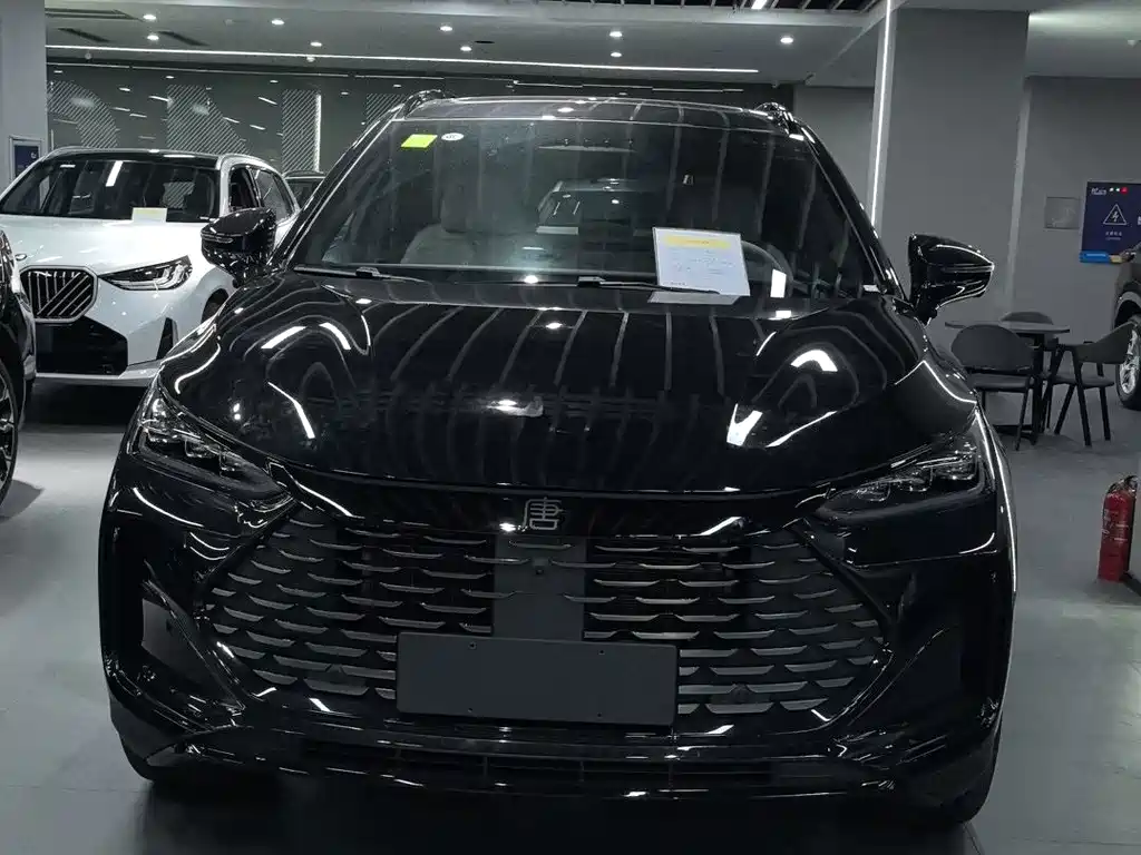 BYD Tang New Energy — миниатюра 2