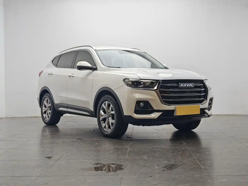 Haval H6 — миниатюра 2