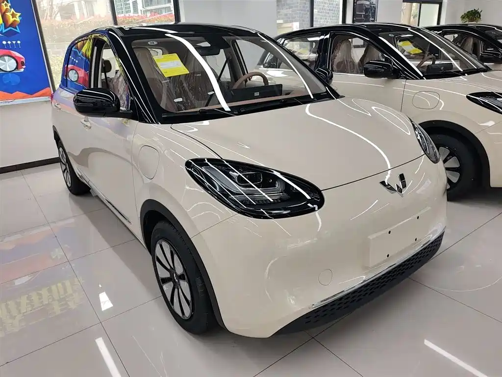 Wuling Binguo 2025 333km Enjoy