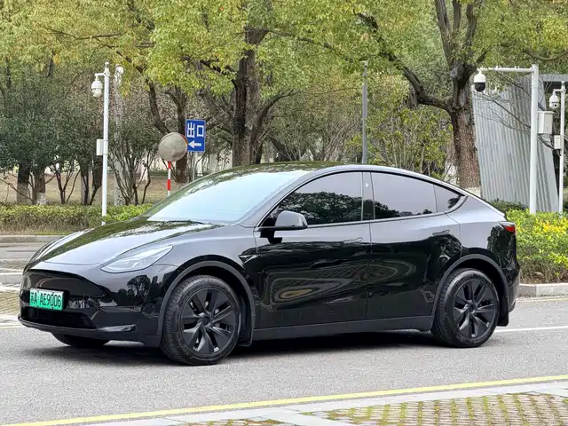 TESLA MODEL Y 2025