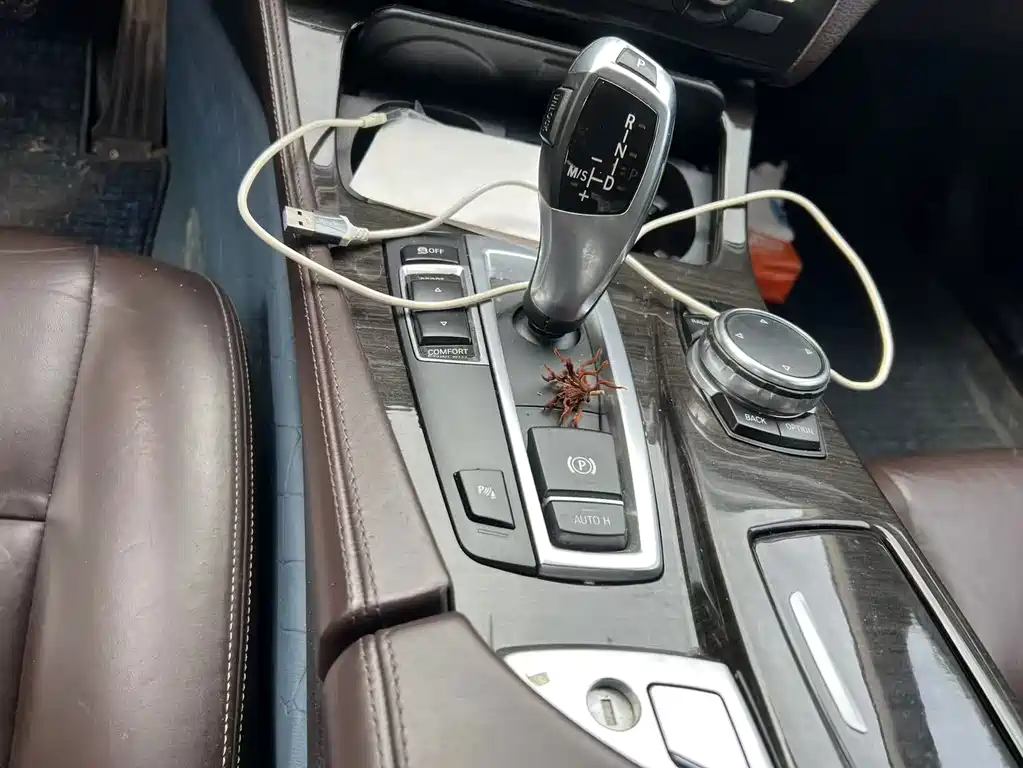BMW 5 Series — миниатюра 6