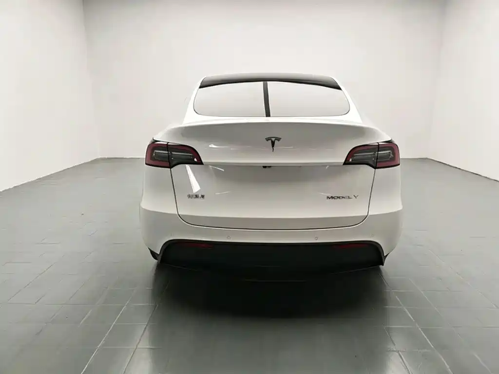 Tesla Model Y — миниатюра 6