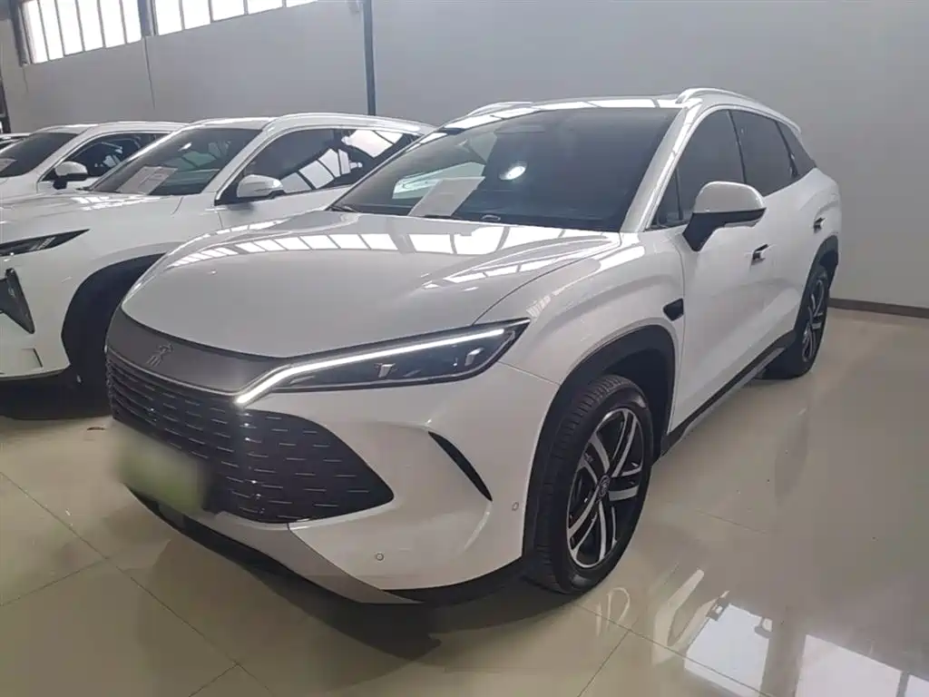 Byd L DM-i 2025