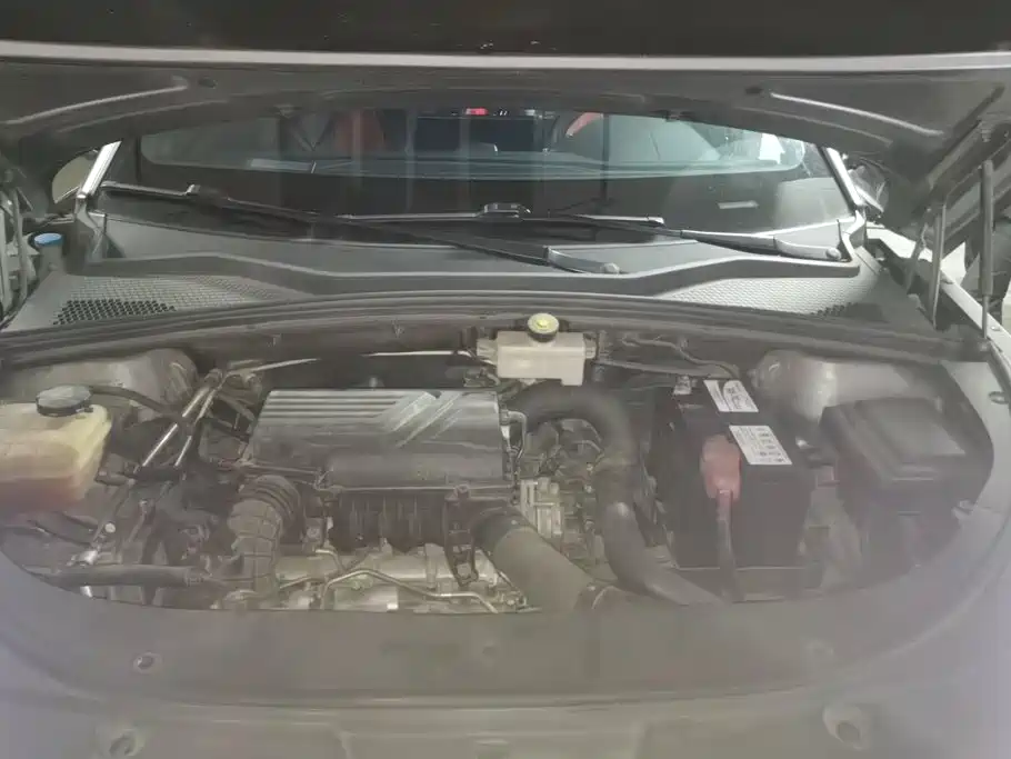 BYD PLUS — миниатюра 10