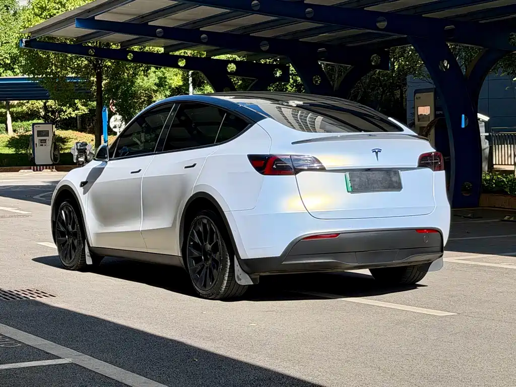 Tesla Model Y — миниатюра 6