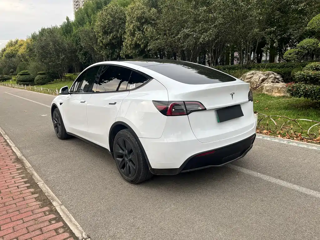 Tesla Model Y — миниатюра 7