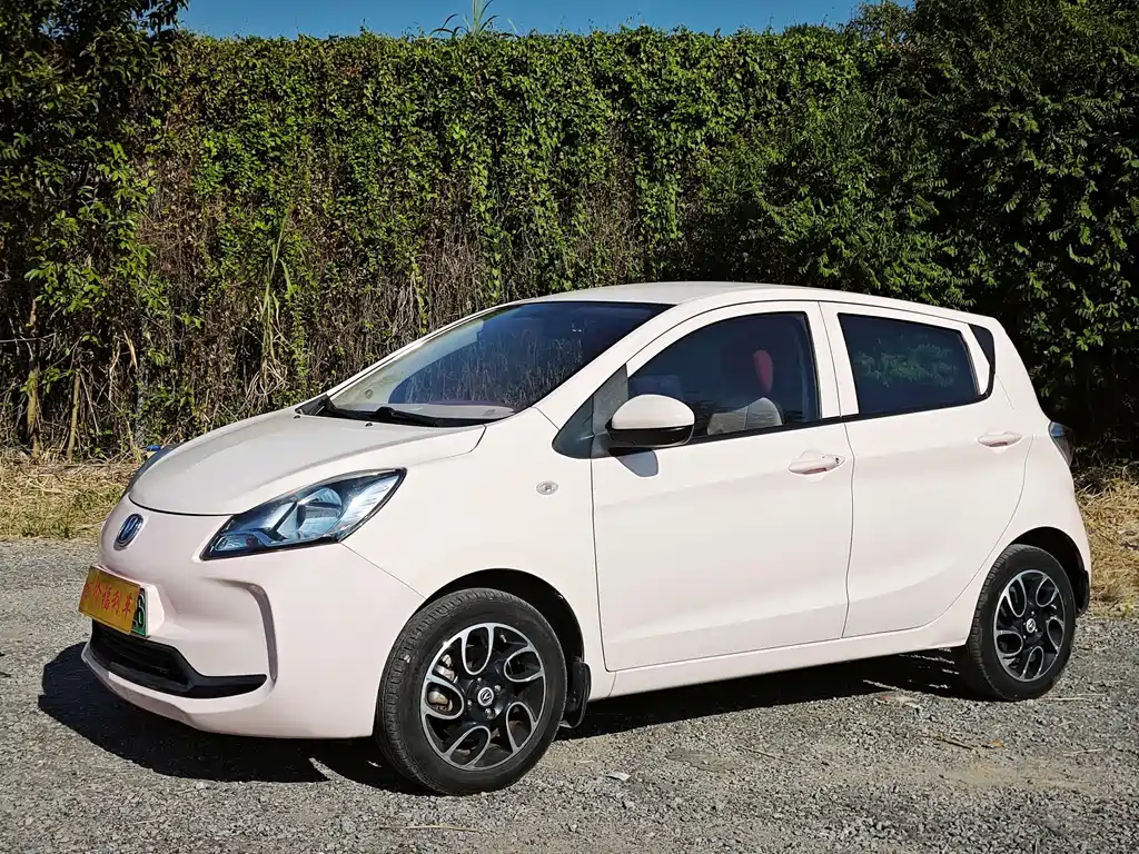 Changan Benben E-Star — миниатюра 2