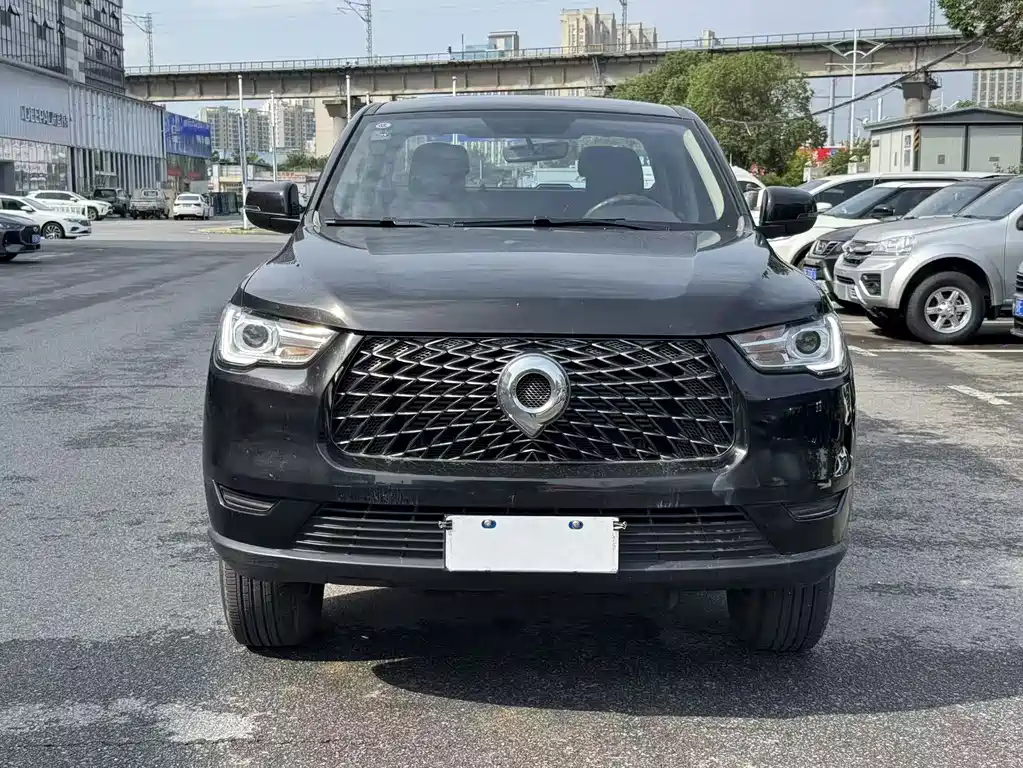 Great Wall Pao — миниатюра 2