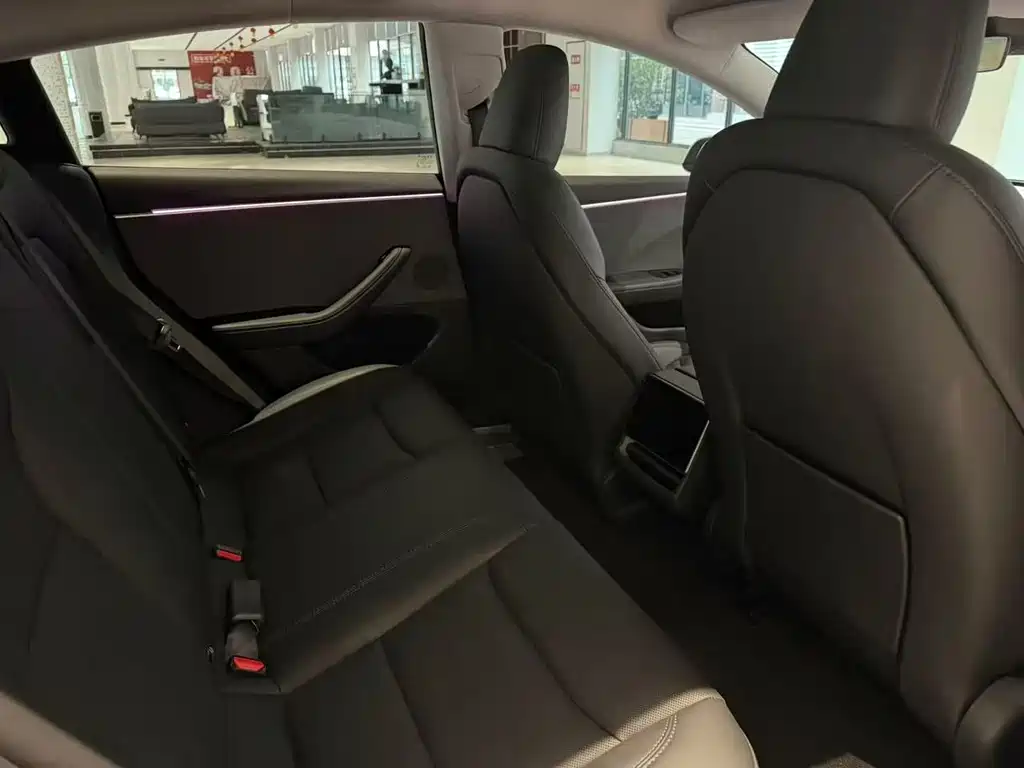 Tesla Model 3 — миниатюра 6