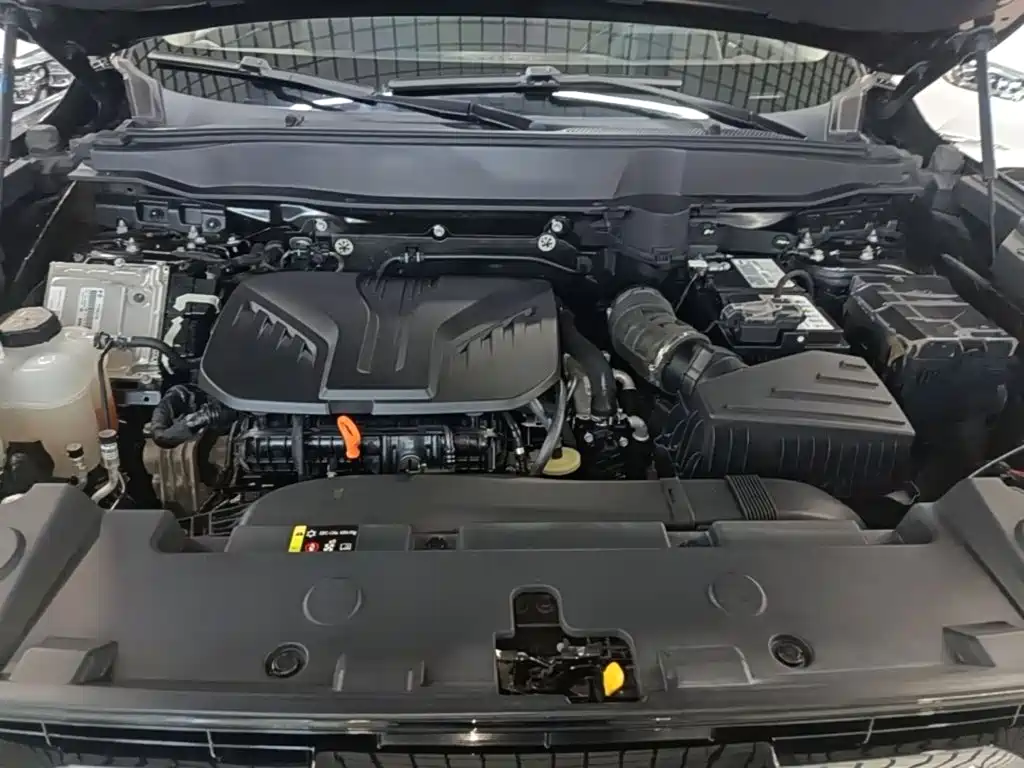 Haval Big Dog — миниатюра 20