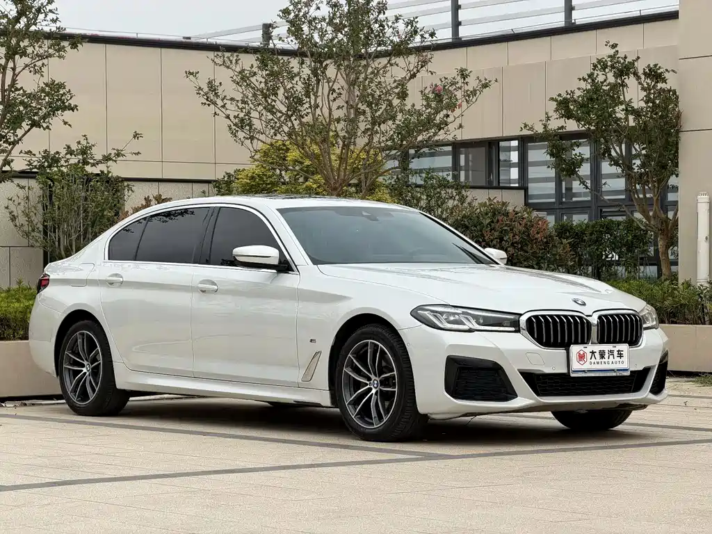 BMW 5 Series — миниатюра 3