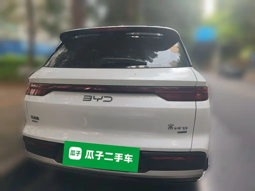 BYD Pro New Energy — миниатюра 3