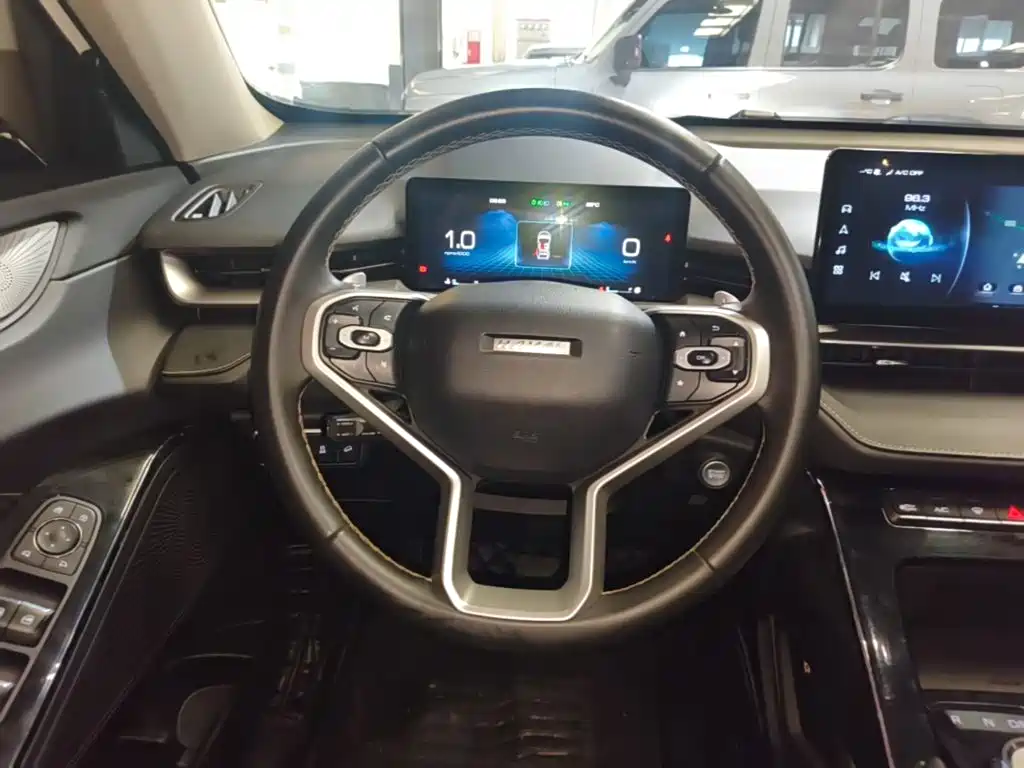 Haval H6 — миниатюра 11