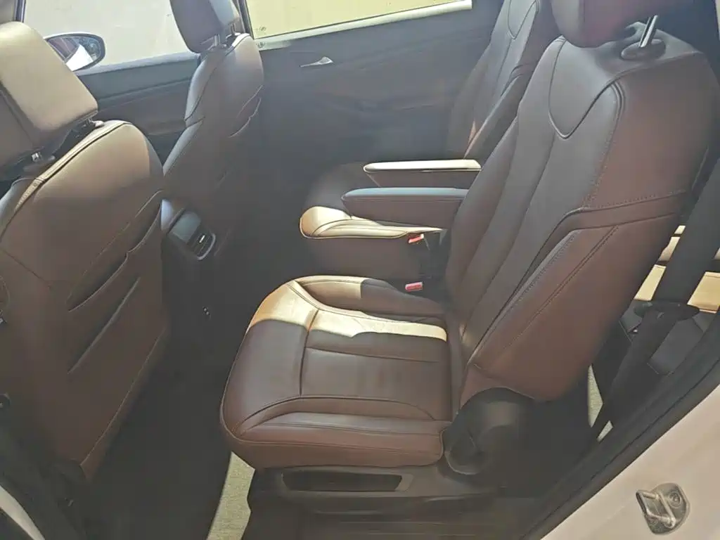 Buick GL6 — миниатюра 17