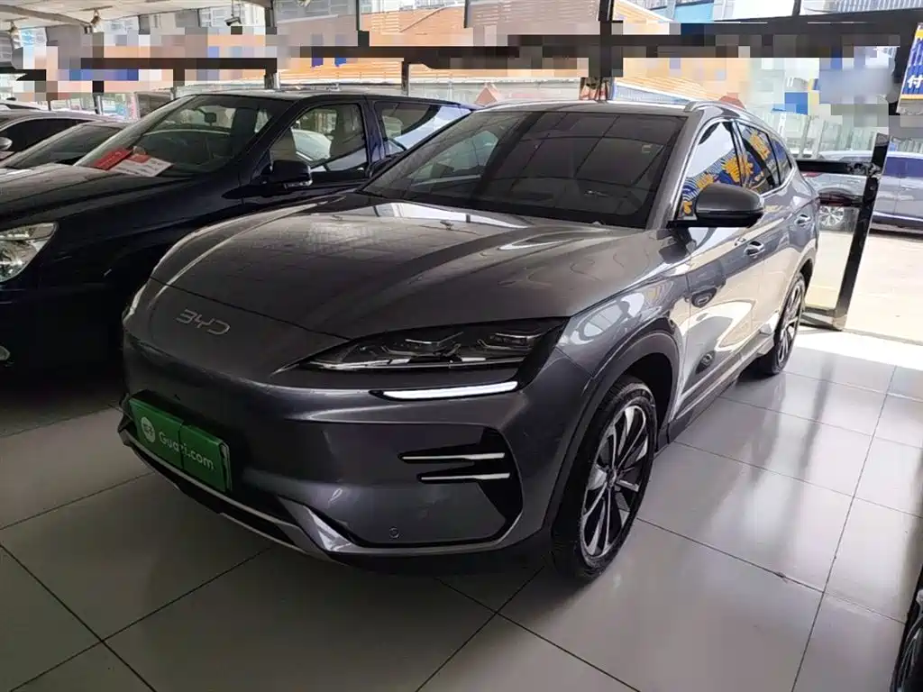 Byd PLUS New Energy 2024