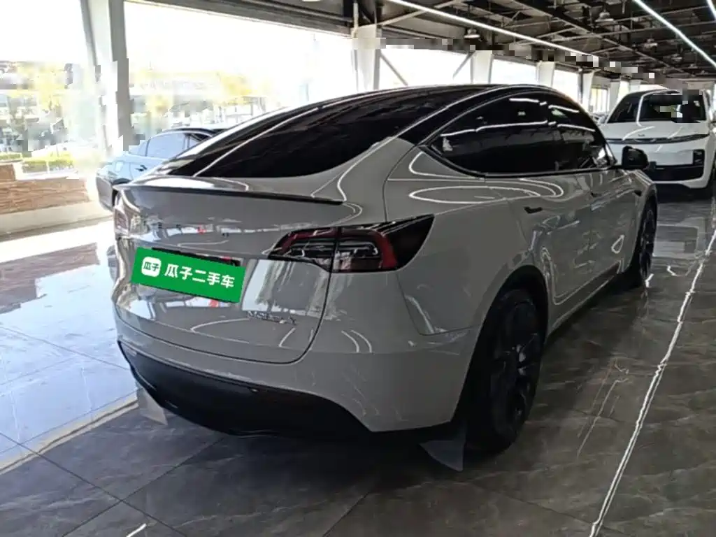 Tesla Model Y — миниатюра 7