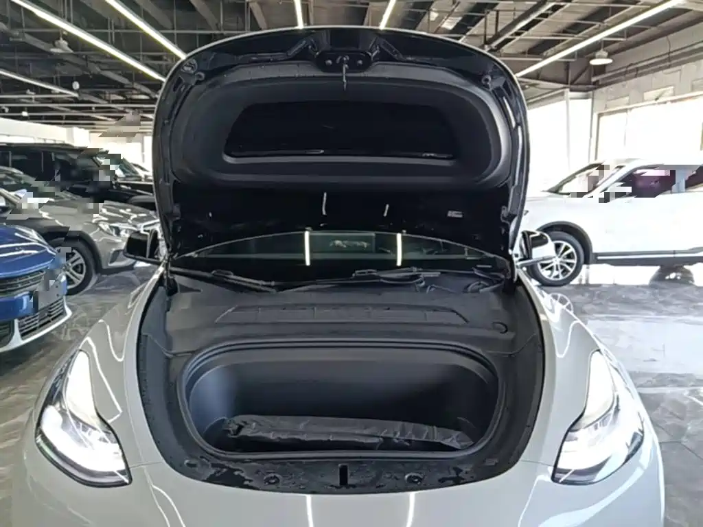 Tesla Model Y — миниатюра 20
