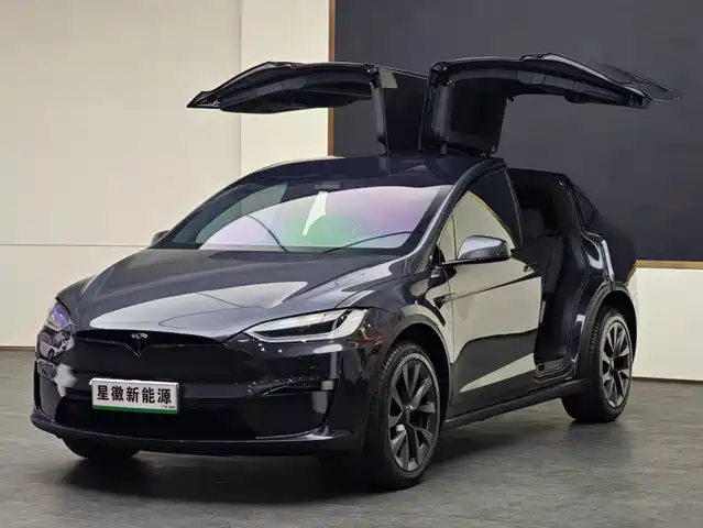 TESLA MODEL X 2024
