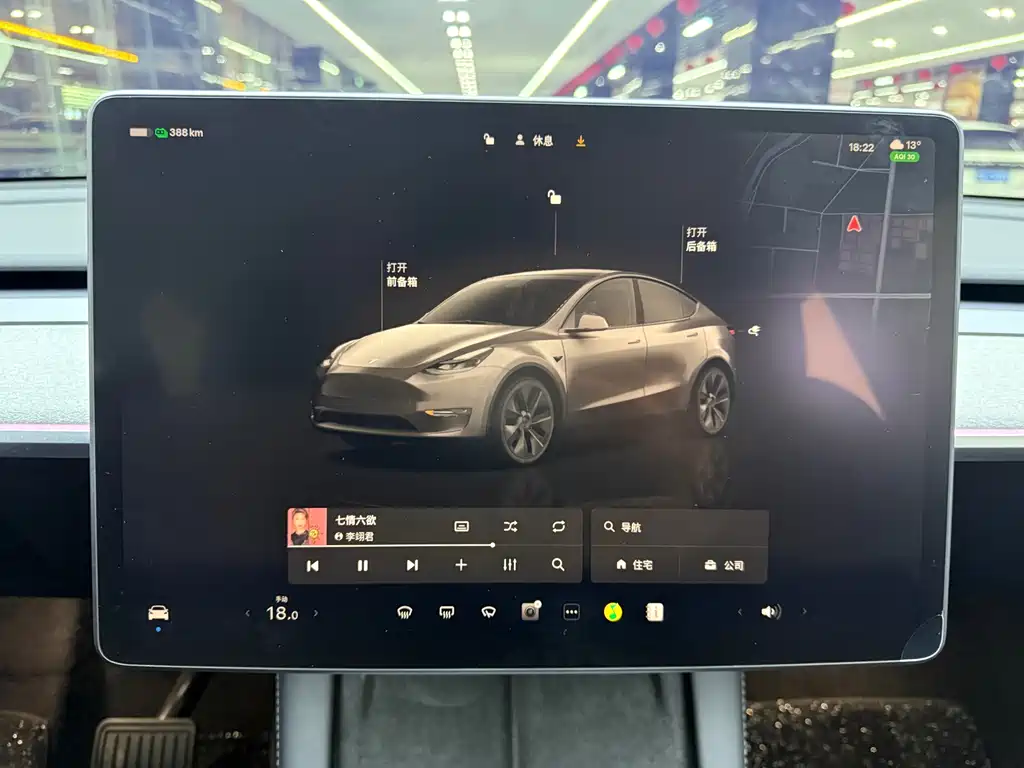 TESLA MODEL Y