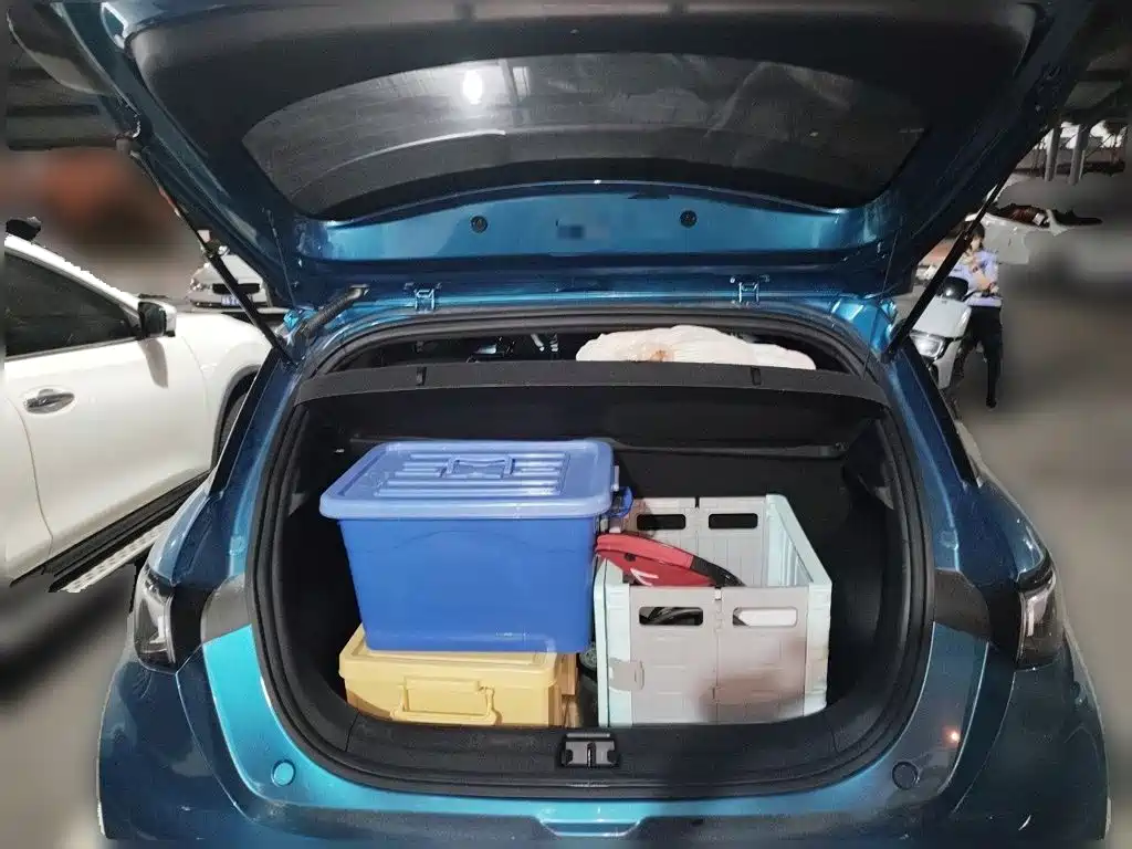 BYD Dolphin — миниатюра 15