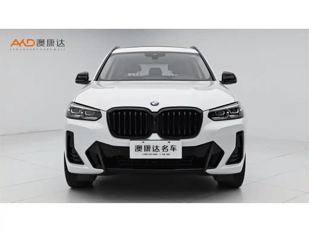 BMW X3 2023 xDrive30i Lead M