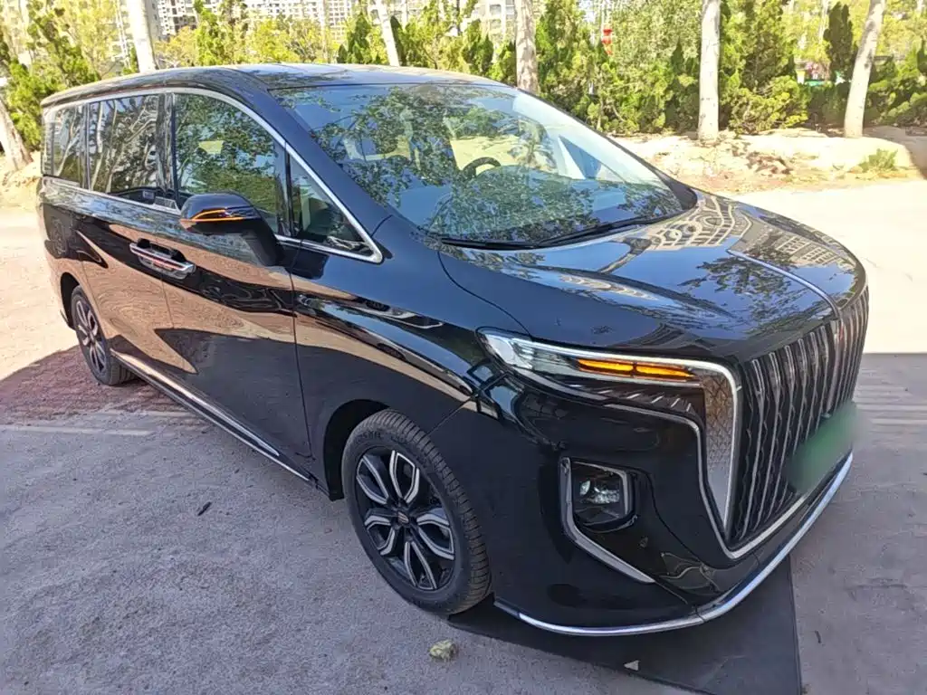 Hongqi Hongqi HQ9 — миниатюра 4