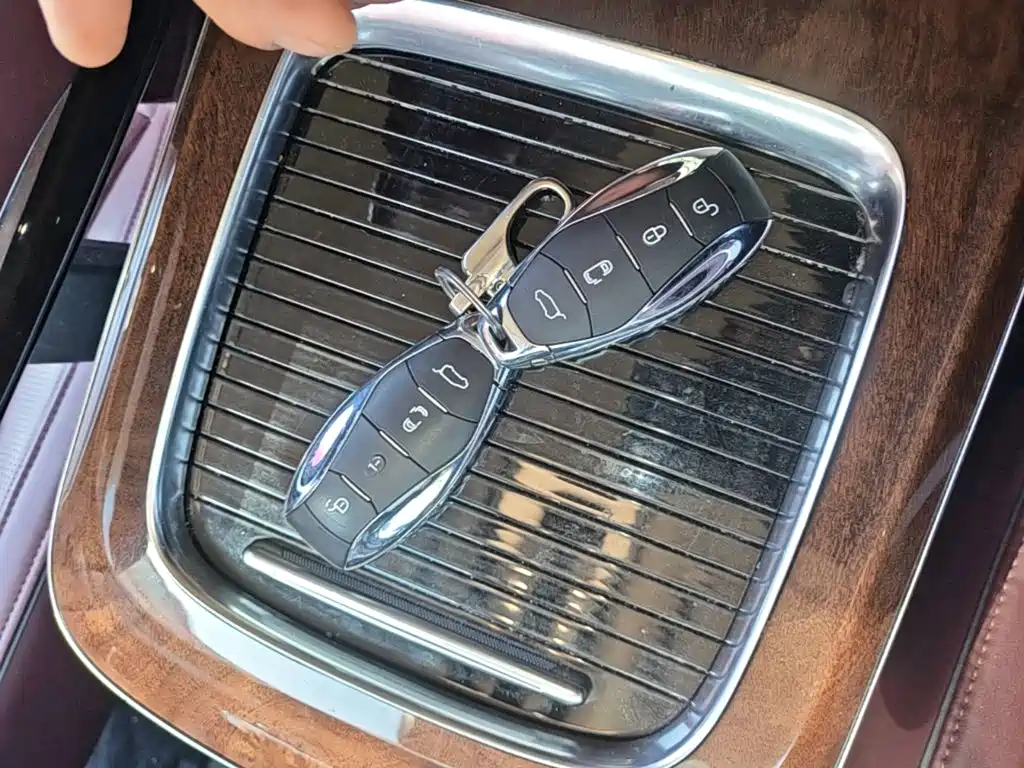 Hongqi Hongqi HQ9 — миниатюра 9