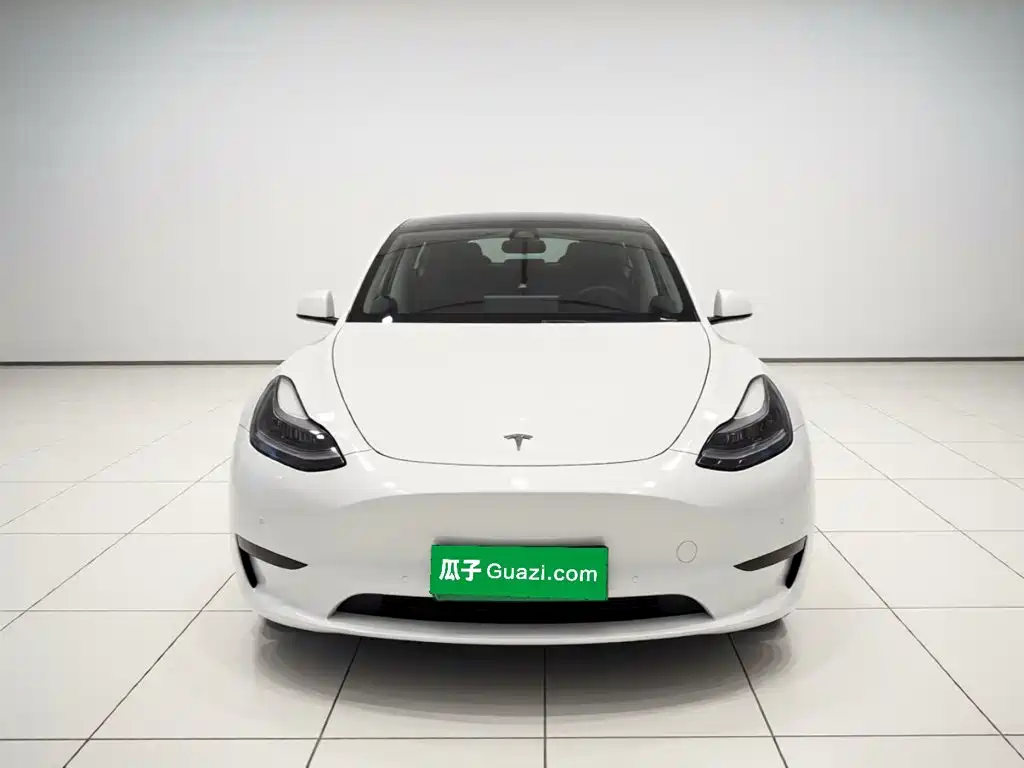 Tesla Model Y — миниатюра 2