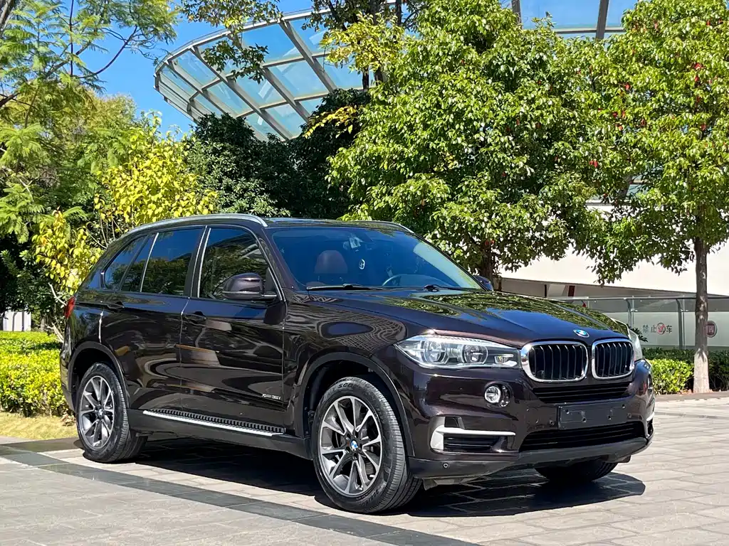 BMW X5 (Import) — миниатюра 3