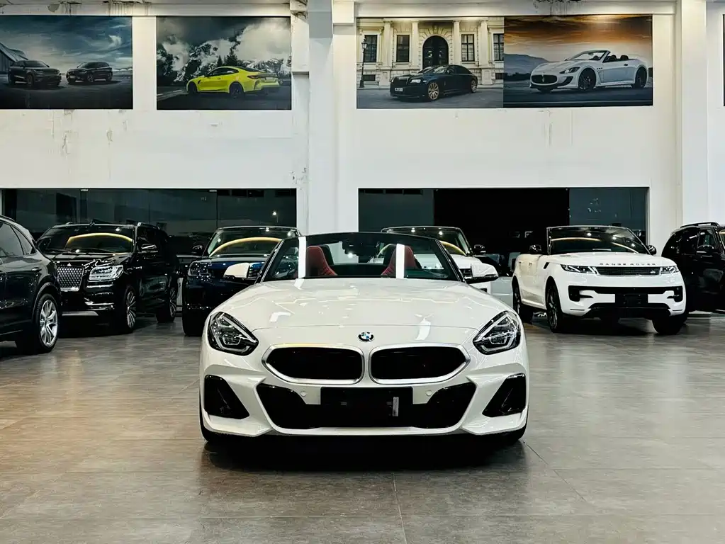 BMW Z4 — миниатюра 2