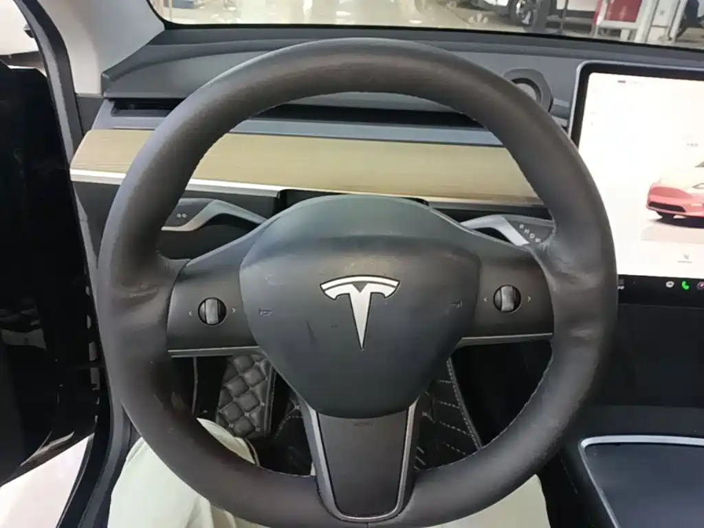 Tesla Model Y — миниатюра 11