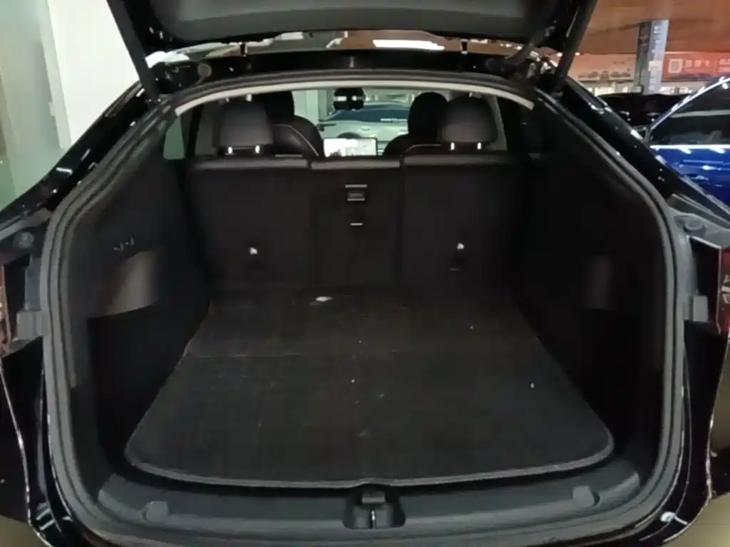 Tesla Model Y — миниатюра 19