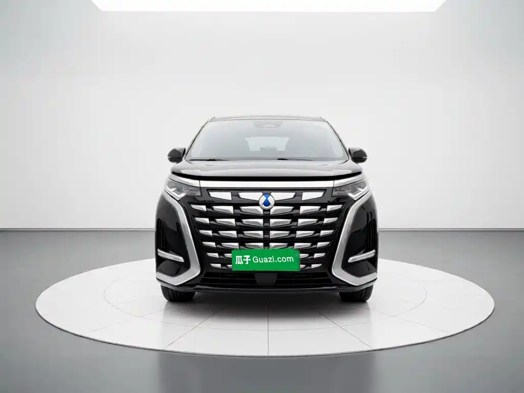 Denza Denza D9 — миниатюра 2