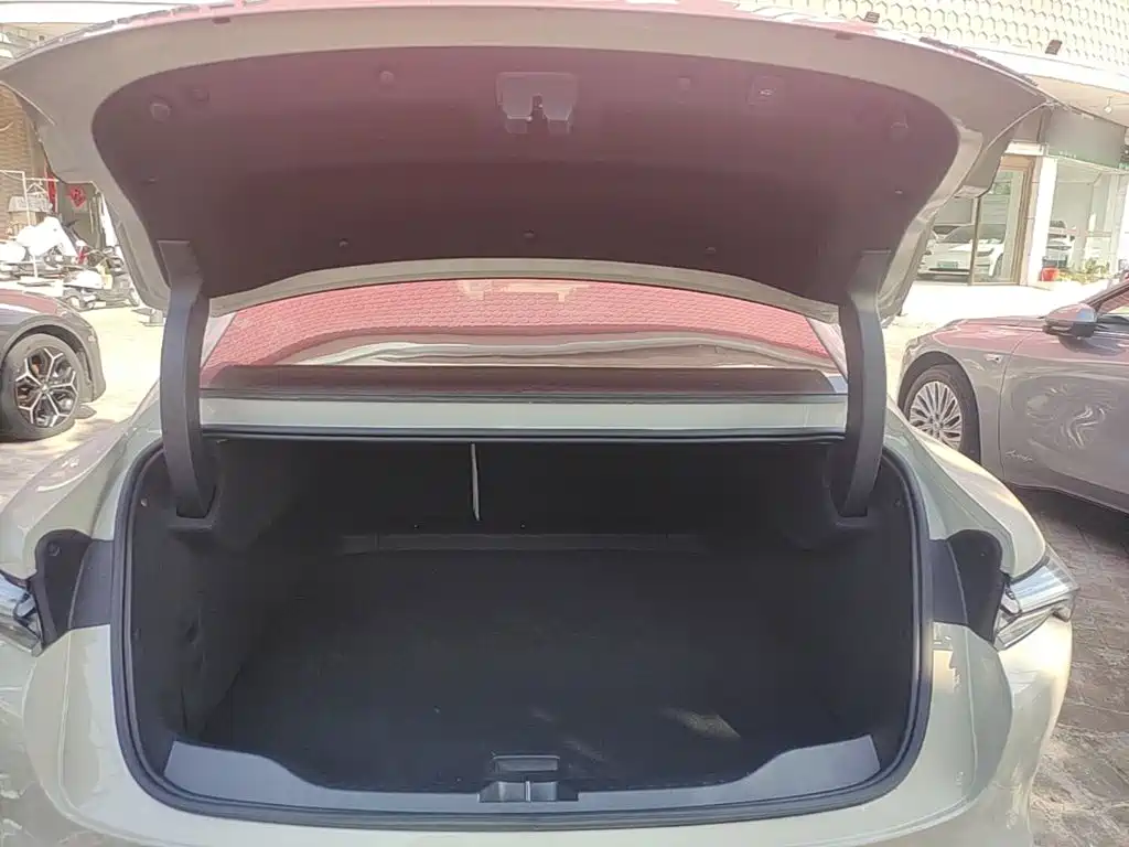 Buick Electra L7 — миниатюра 19