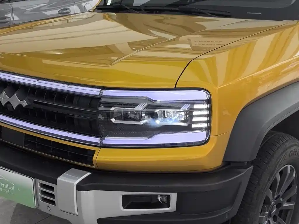 FANG CHENG BAO LEOPARD 5