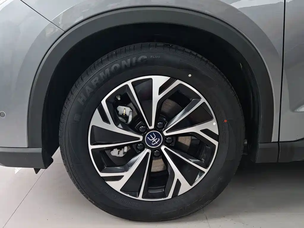 BYD Pro New Energy — миниатюра 8