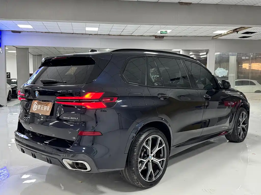 BMW X5 — миниатюра 9