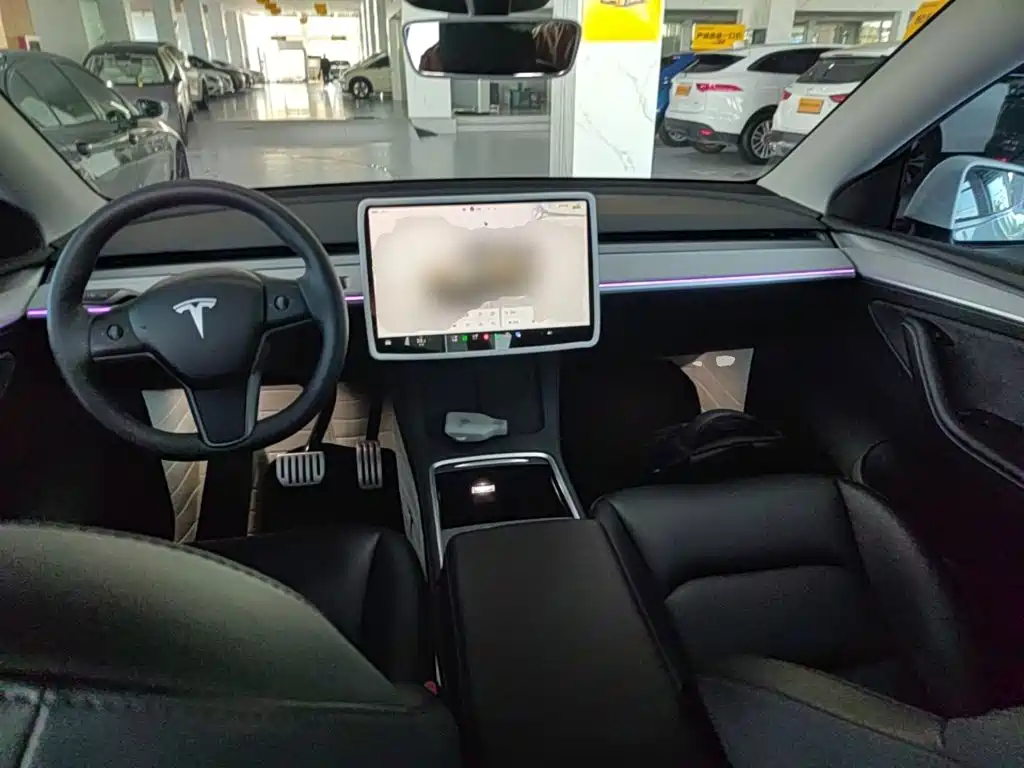 Tesla Model Y — миниатюра 10