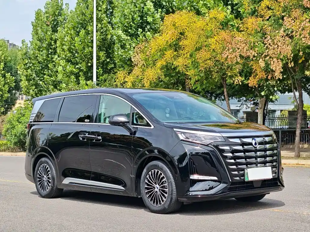 Denza Denza D9 — миниатюра 3