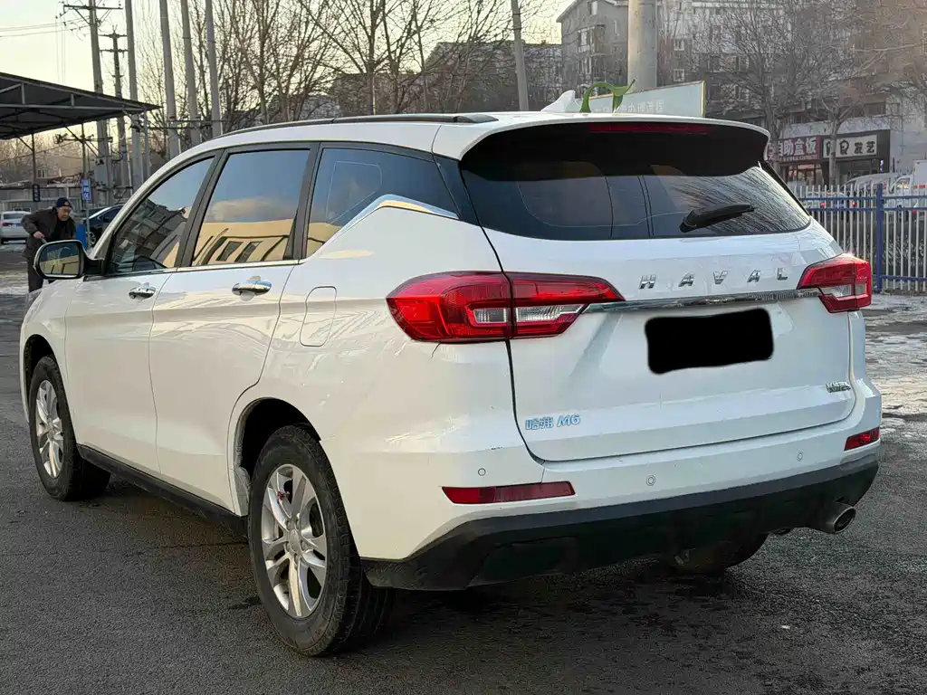 HAVAL M6