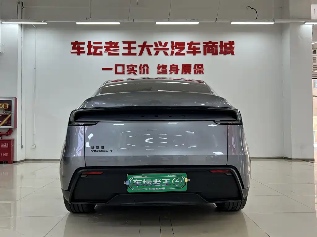 Tesla Model Y — миниатюра 14