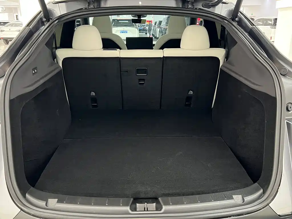 Tesla Model Y — миниатюра 16